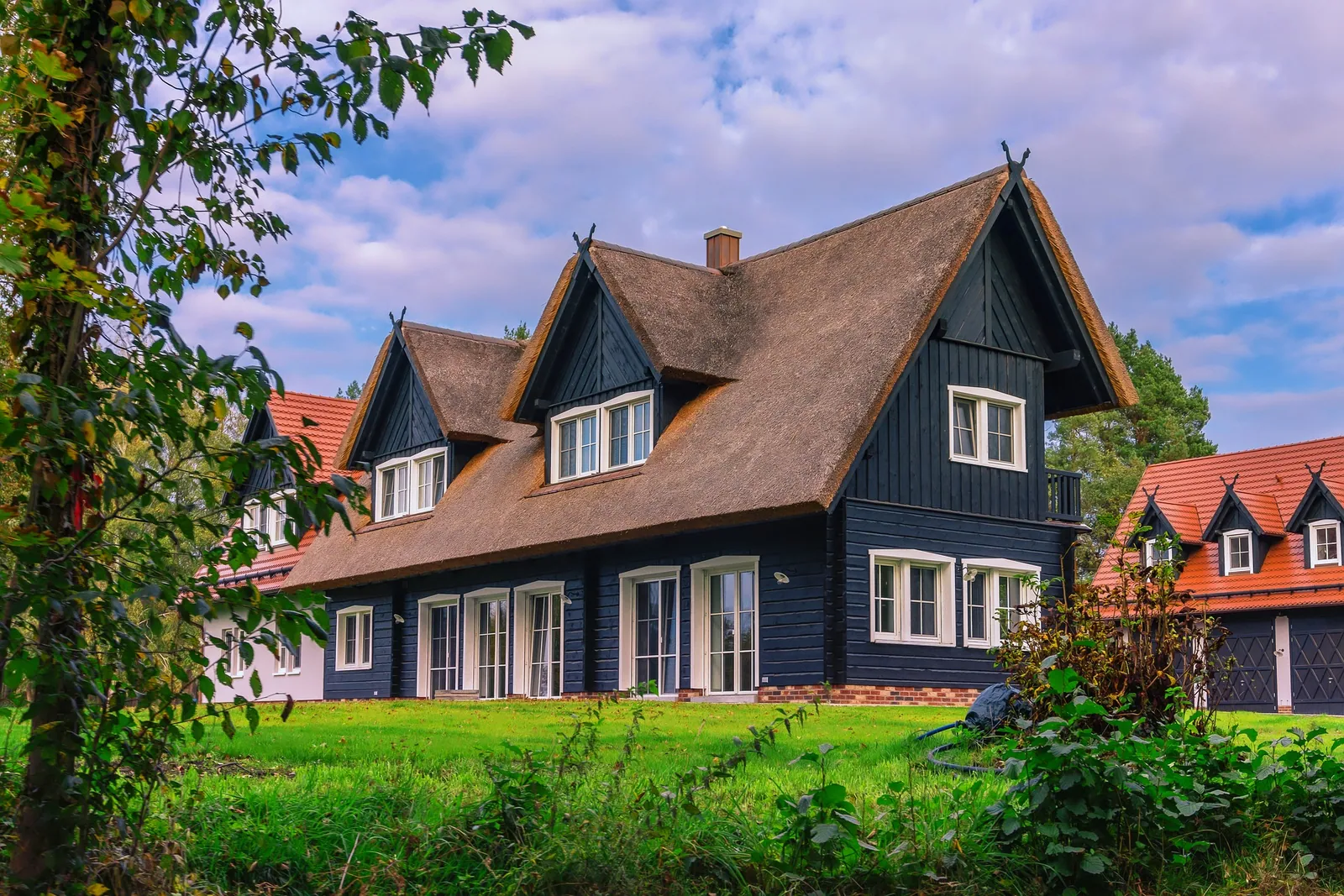 Pre-Contract Advice – Building & Pest Inspection Clauses