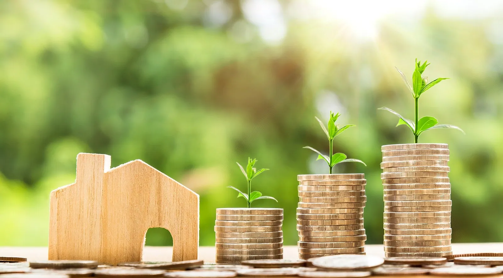 Buying And Selling Co-Owned Property